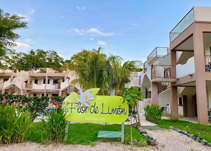 Casa Limonada Ground Сasa de vacaciones Coco